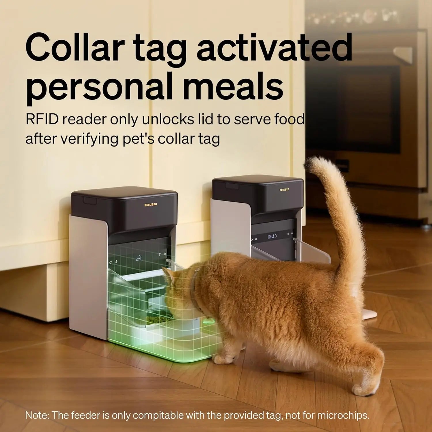 RFID Automatic Cat Feeder with Collar Tag, Wi-Fi Programmable for Multi-Pet Homes and Diet Tracking
