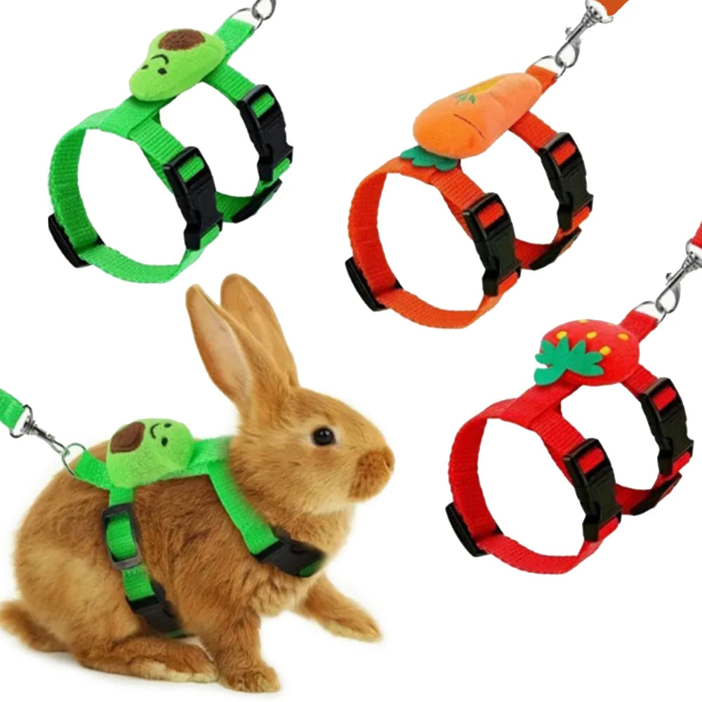 Rabbit/Cat Harness and Leash Set, Adjustable Pet Lead Leash for Small Animals