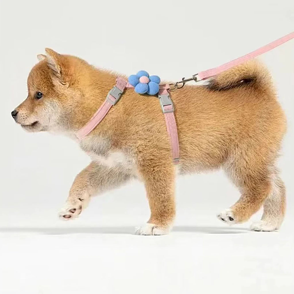 Cat Harness and Leash Sets, Adjustable Dog Harness for Small Dog, Leash Breathable Pet
