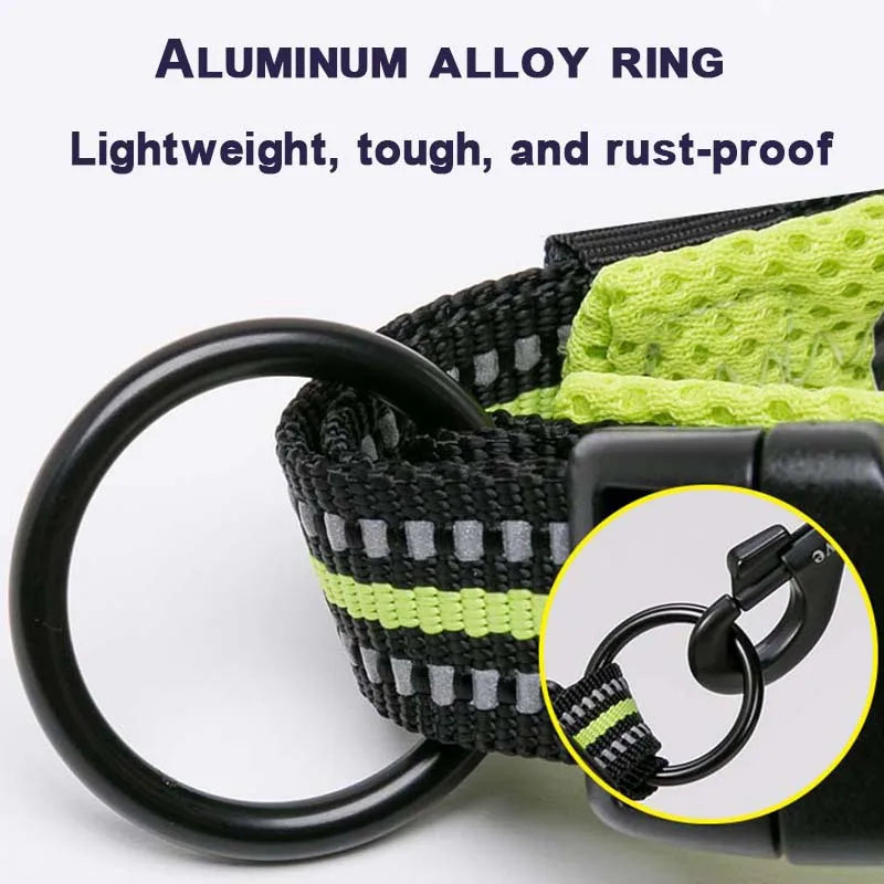 Dog Walking Collar Comfort Padded with Buckle Nylon Traveling Collar