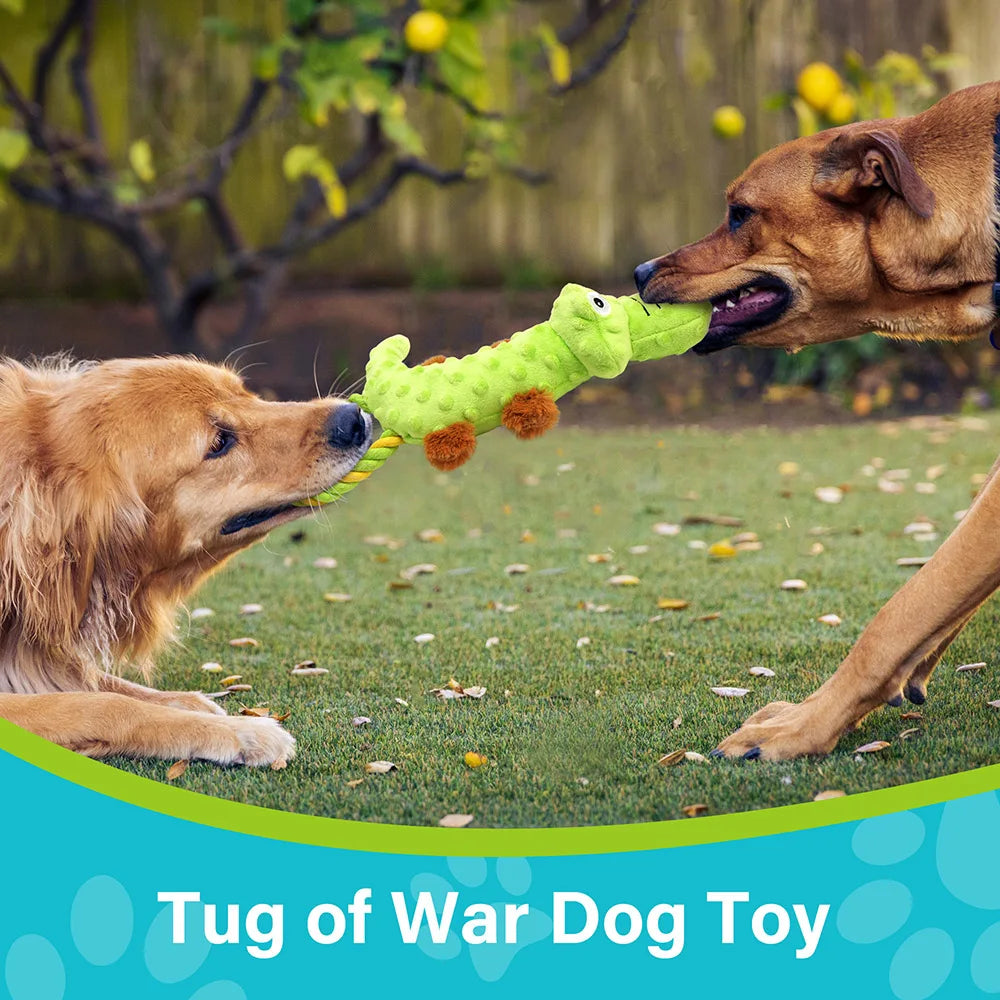 Pets Dog Squeaky Toy, 2 Pack, Tug of War Dog Toys