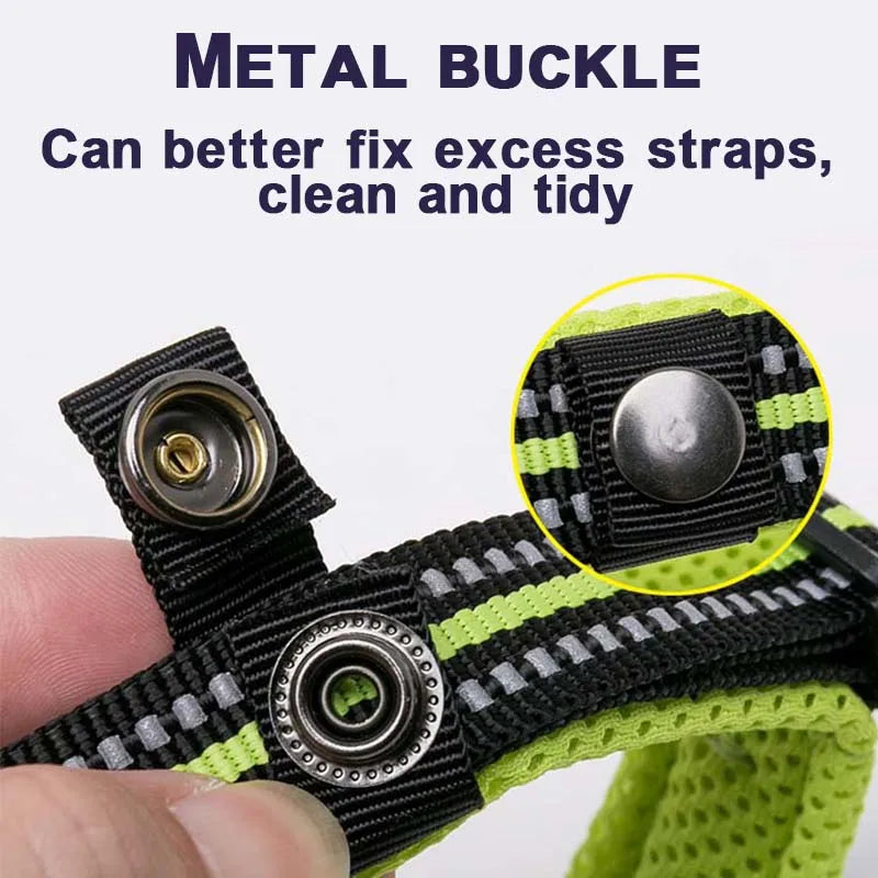 Dog Walking Collar Comfort Padded with Buckle Nylon Traveling Collar