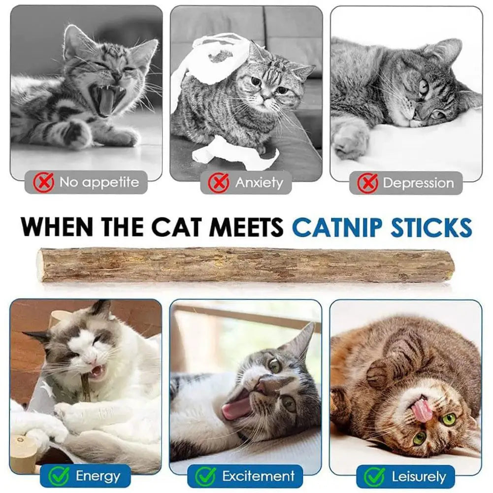 5pc Catnip Stick Pet Cat Molar All Natural Self-healing