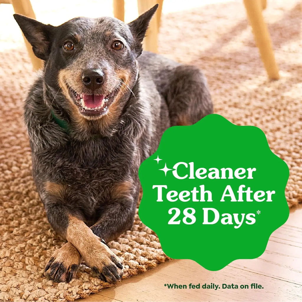 Veterinarian-Recommended Natural Dental Dog Treats Teenie Size