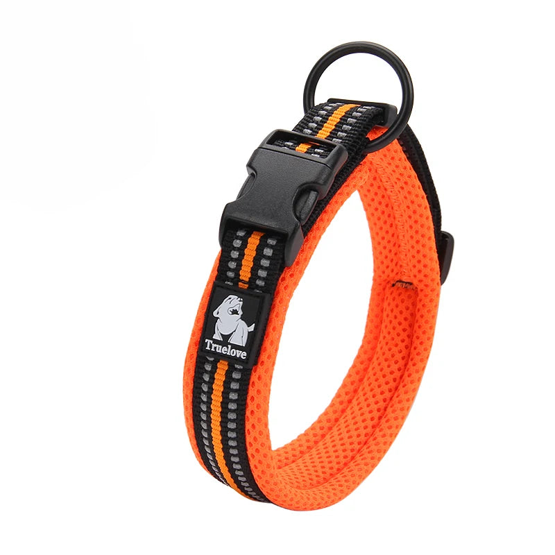 Dog Walking Collar Comfort Padded with Buckle Nylon Traveling Collar