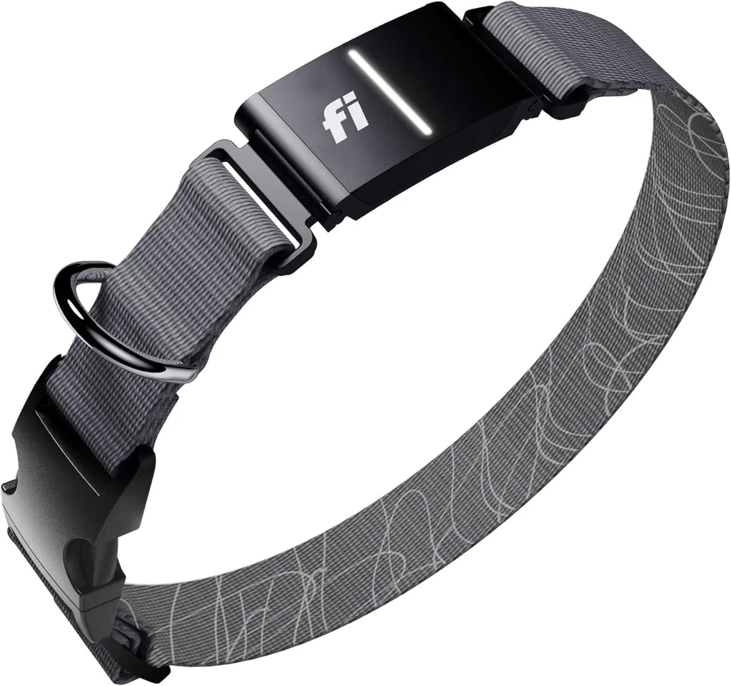 Smart GPS Dog Tracker Collar with Health Monitoring, Escape Alerts, Waterproof, LED, Apple Watch Compatible
