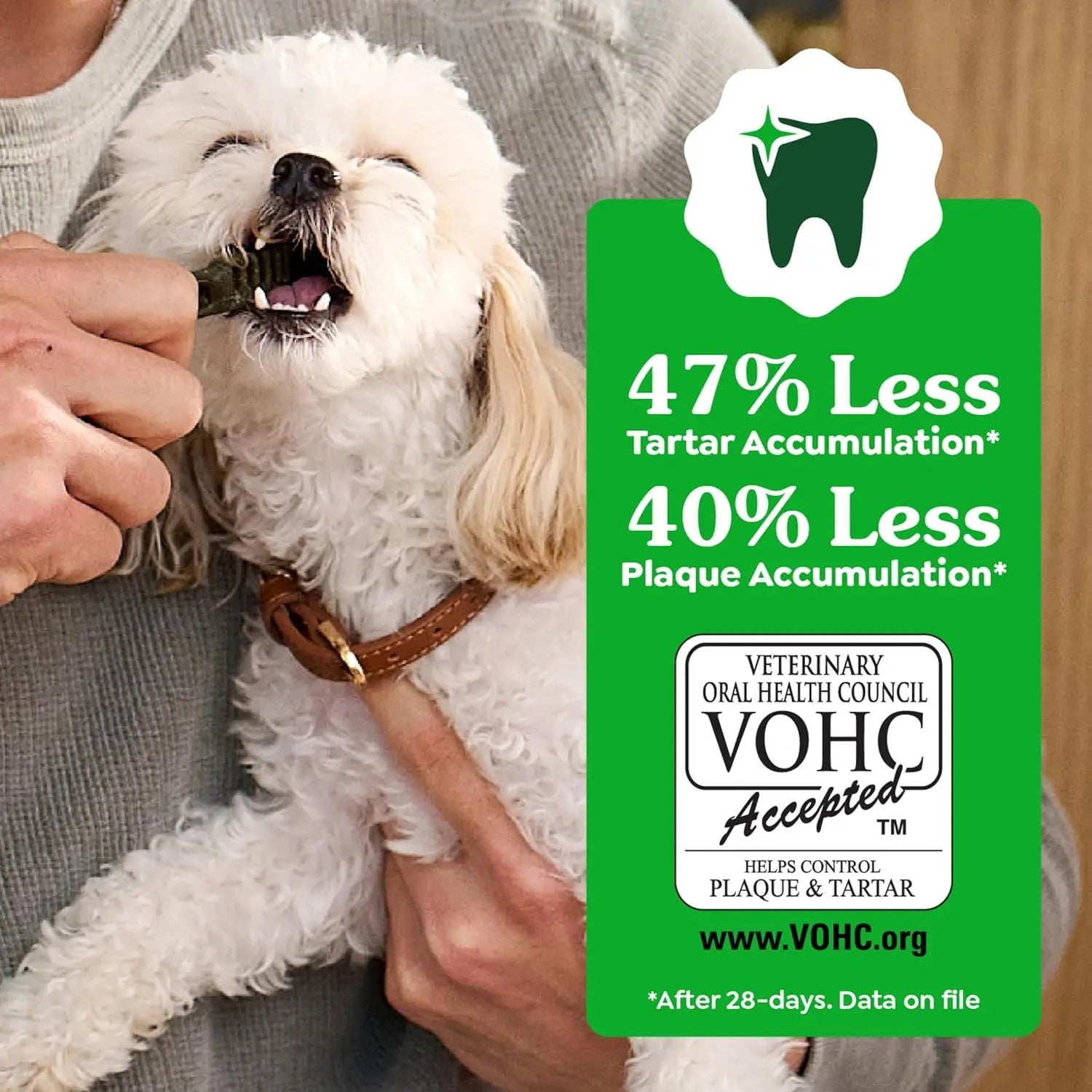 Veterinarian-Recommended Natural Dental Dog Treats Teenie Size