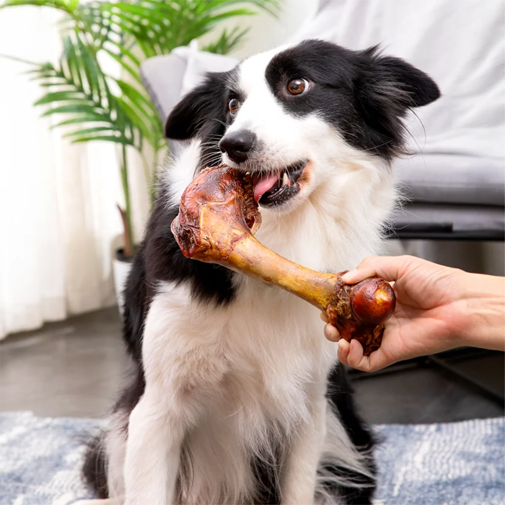 5.29-6.70oz/ Large Cow Bone, All Natural Ingredients, Natural Dog Treats, Healthy, Easily Digestible