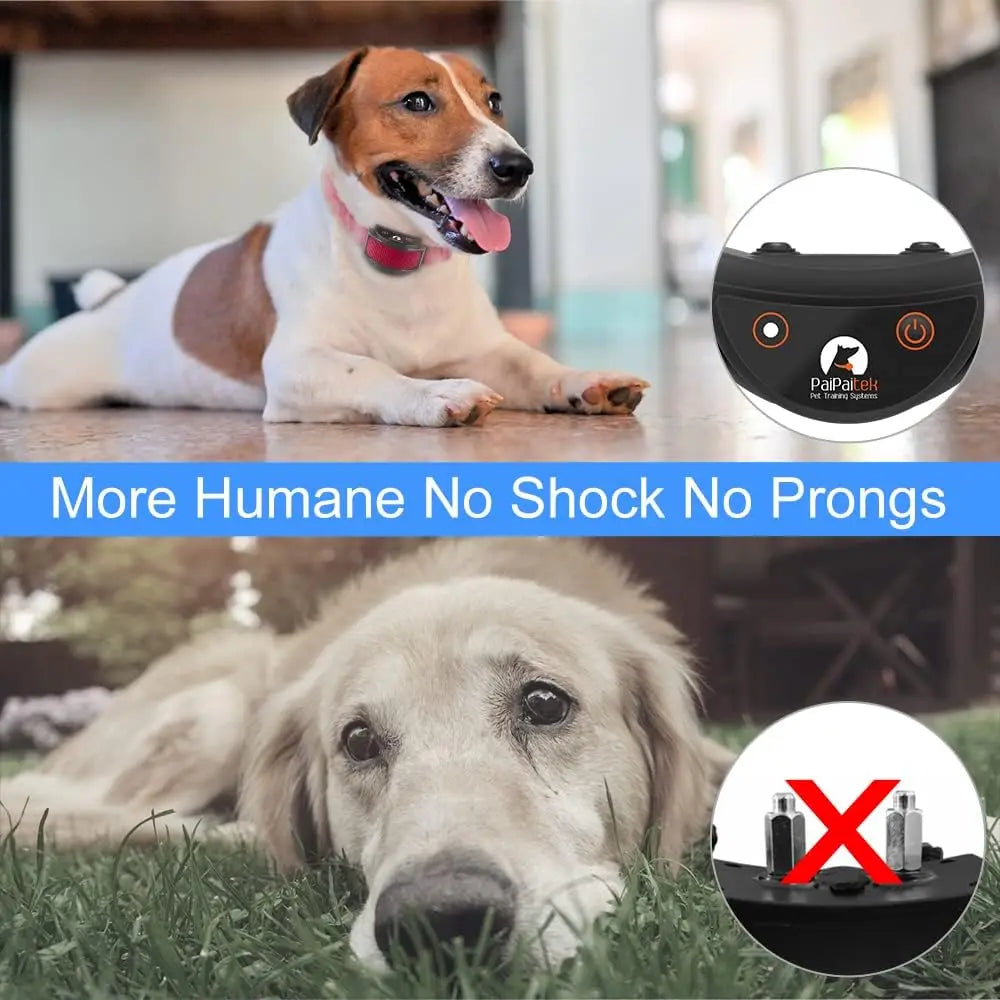 No Shock Dog Training Collar with Remote,1600ft Rechargeable Vibration Collar, Waterproof