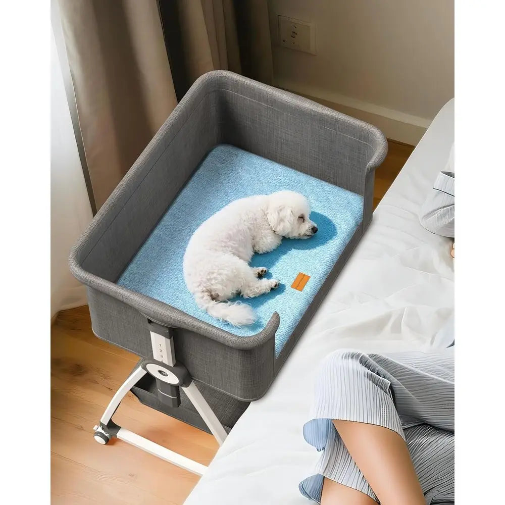 Elevated Adjustable Pet Bed for Small to Medium Dogs and Cats, Removable Cover, Sides Included