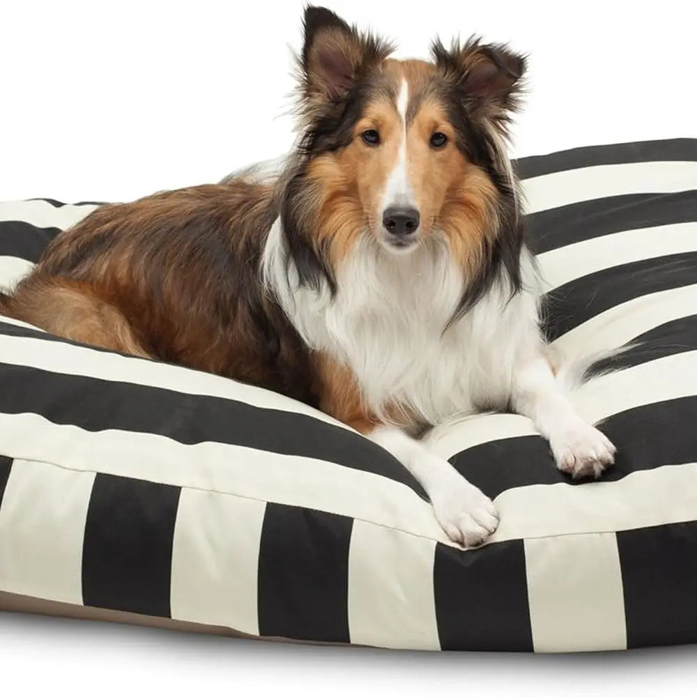 Large Orthopedic Memory Foam Dog Bed with Removable Cover, Senior Dog Comfort, Rectangular