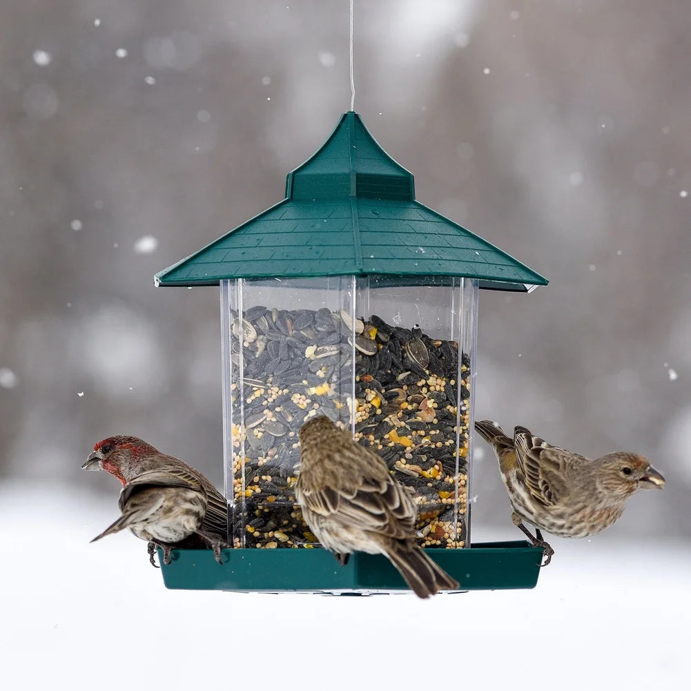Wild Bird Feeders for Outside Rust Proof Hanging Feeders Squirrel Proof Attracts All Birds