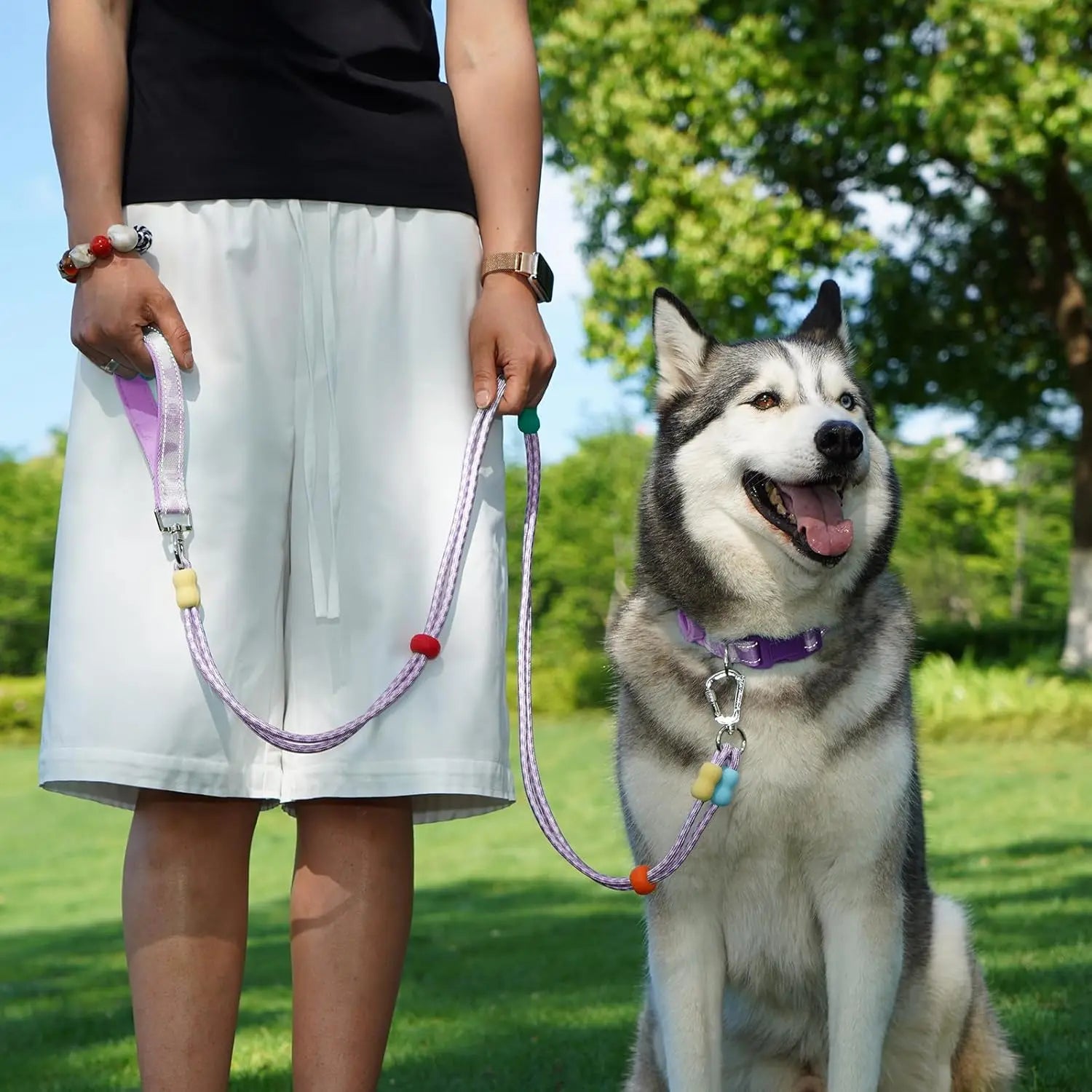 Dog Leash and Collar Set with AirTag Holder for Small Medium, Large Dogs, 5 FT Double Rope Leashes