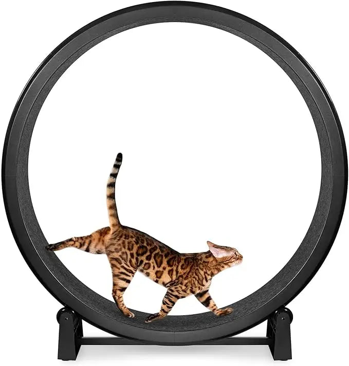 7 One Fast Cat Exercise Wheel - US Made - Black with Felt Pads & Inline Wheels