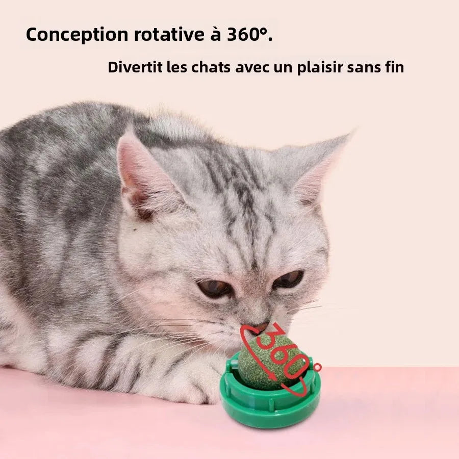 Spinning Catnip Mint Ball for Cats, Interactive Toy with Natural Catnip, Hairball Control