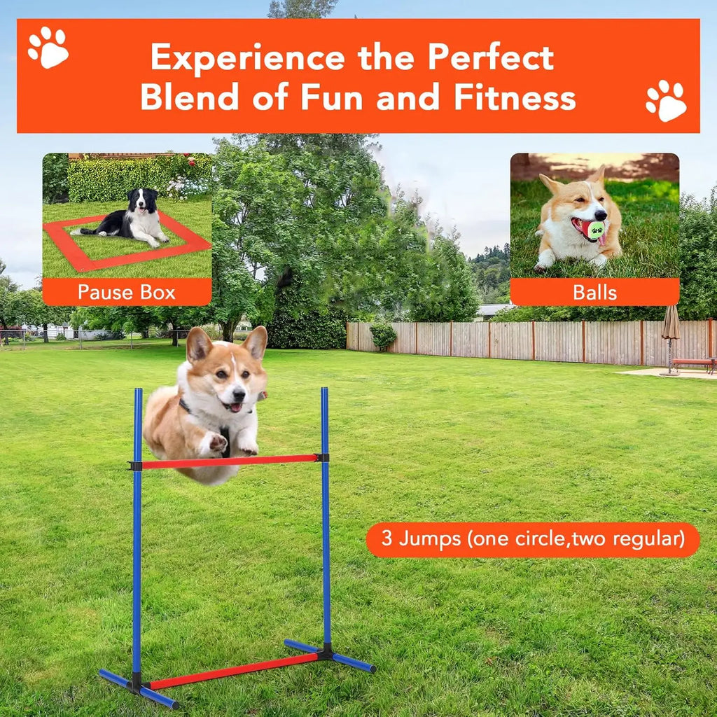 87 Pcs Dog Agile Training Equipment Set Obstacle Course Kit