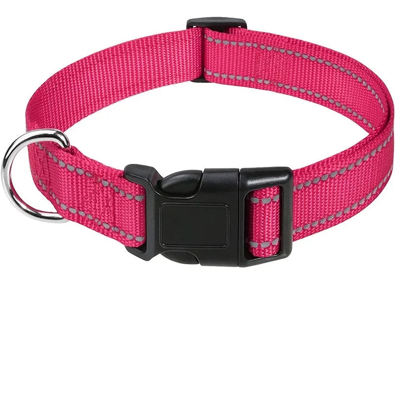 Choker Small Dog Collar, Puppy Neck Collars for Dogs