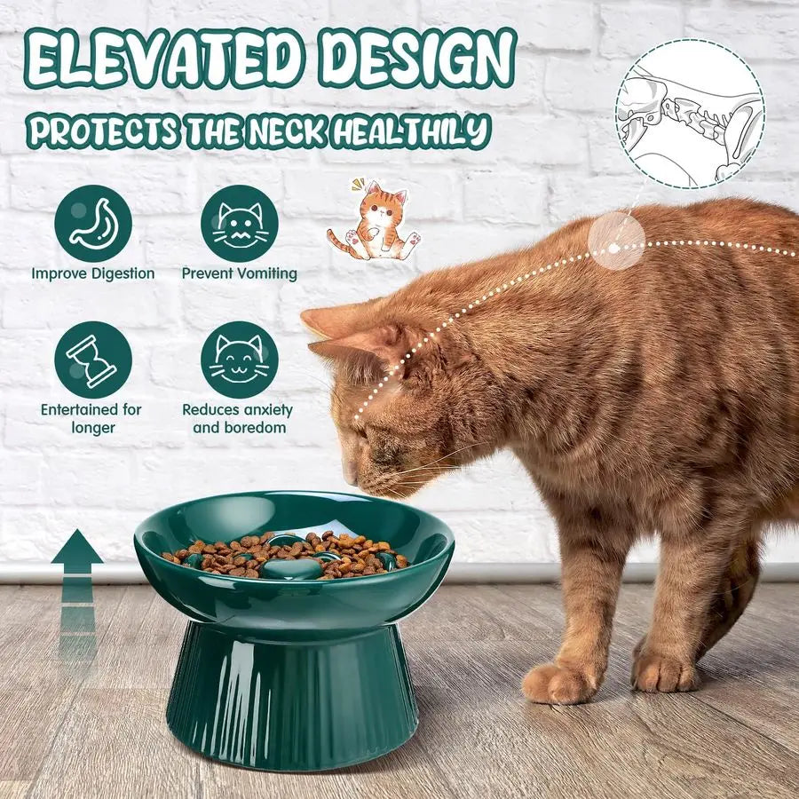 2 Pcs Raised Cat Slow Feeder Bowl Ceramic No Spill High Edge for Dry Wet Food and Water Easy to Clean