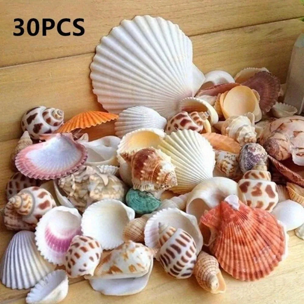 30pcs Mixed Aquarium Beach Nautical DIY Shells - Assorted Seashells in Glass Jars for Fish Tank Decor