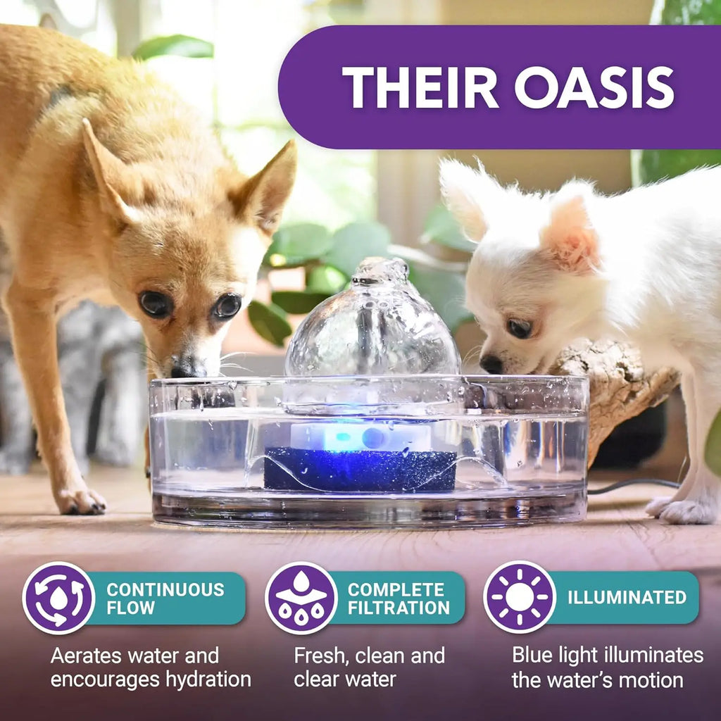 Glass Pet Fountain (90oz) – Cat & Dog Water Fountain – Glass Automatic Water Dispenser