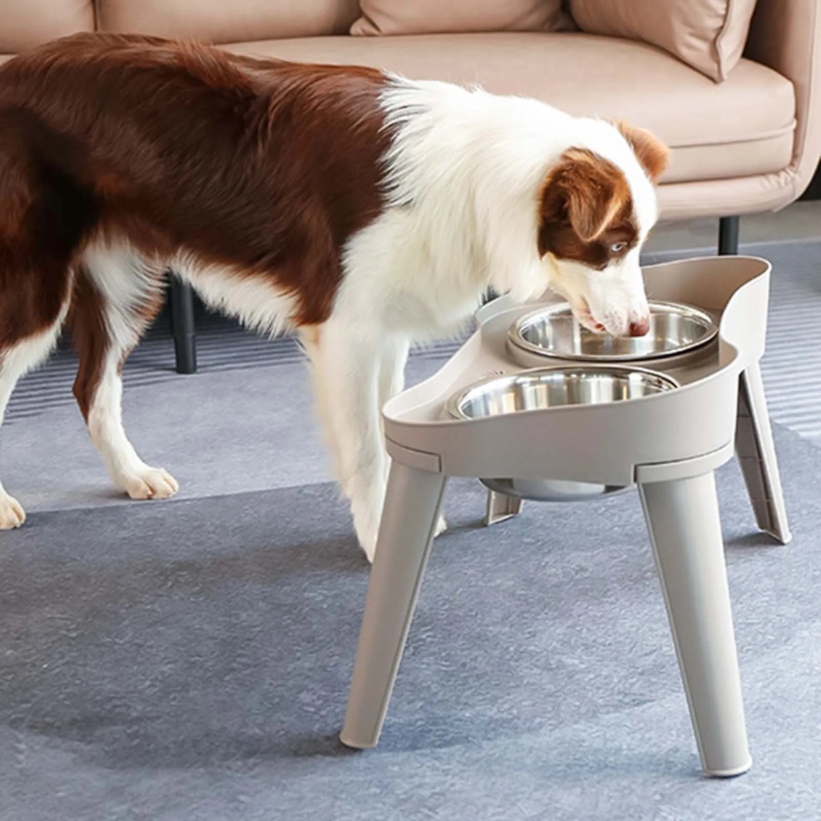 Raised Stand Elevated Dog Feeder Non-Slip and No Spill Design Suitable for Improved Posture and Comfort