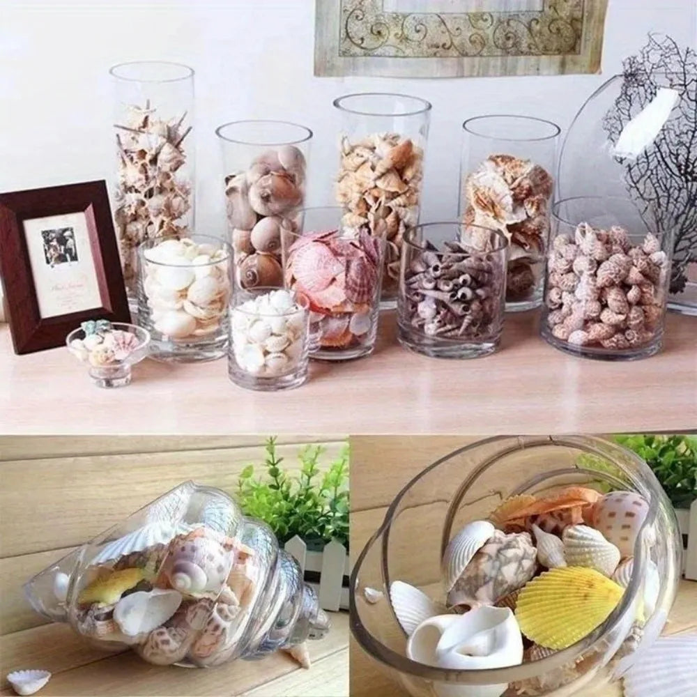 30pcs Mixed Aquarium Beach Nautical DIY Shells - Assorted Seashells in Glass Jars for Fish Tank Decor