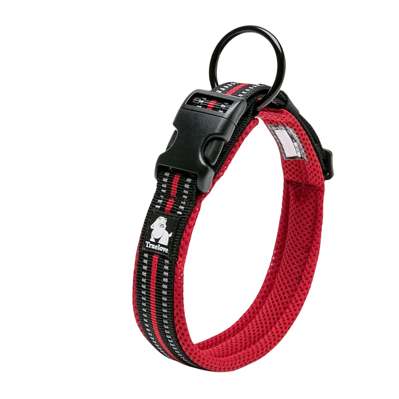 Dog Walking Collar Comfort Padded with Buckle Nylon Traveling Collar