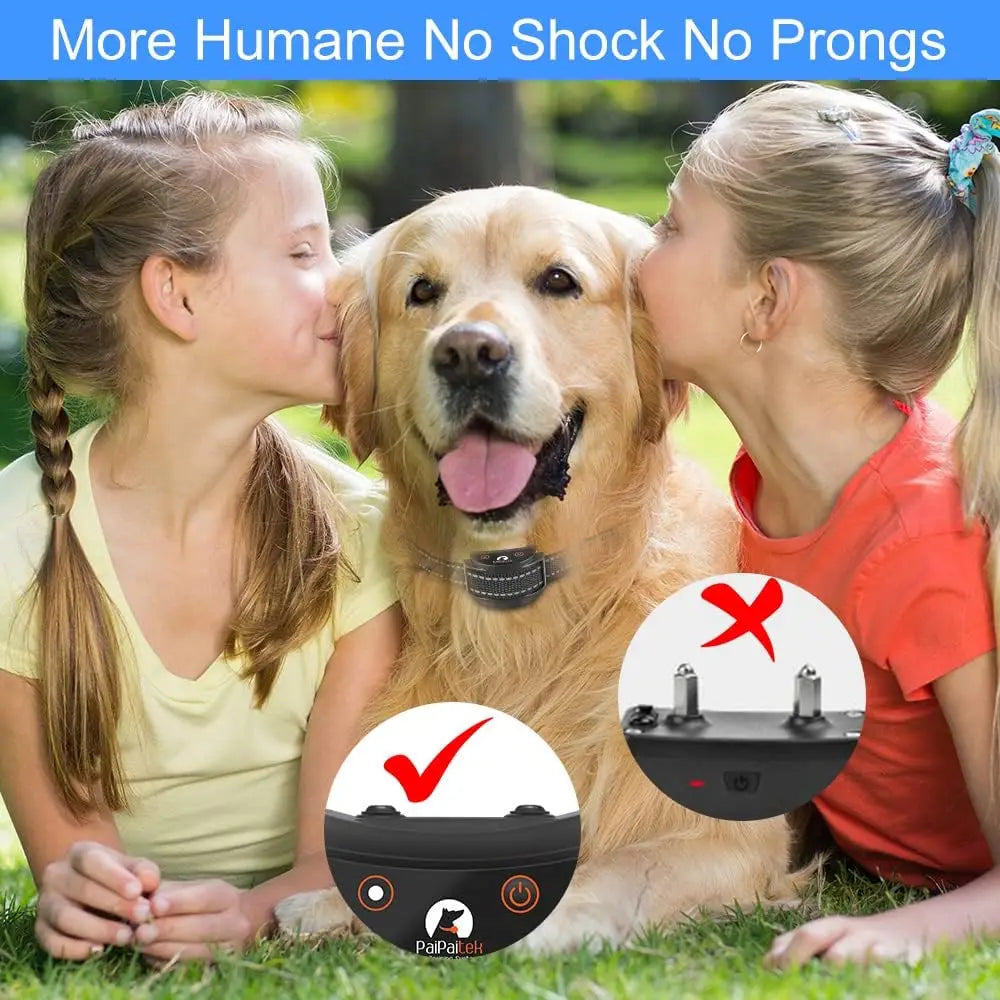 No Shock Dog Training Collar with Remote,1600ft Rechargeable Vibration Collar, Waterproof
