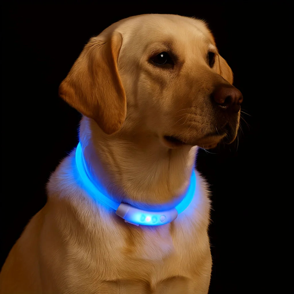 New LED Dog Collar USB Rechargeable，3 Mode Adjustable Glowing Dog Collar for Night Walking