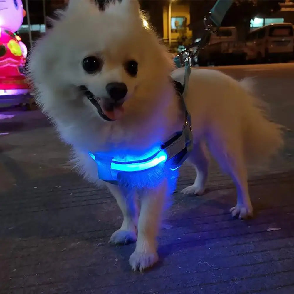 Adjustable LED Pet Harness, USB Rechargeable Light Up Dog Harness, Glow-in-The-Dark Safety Vest
