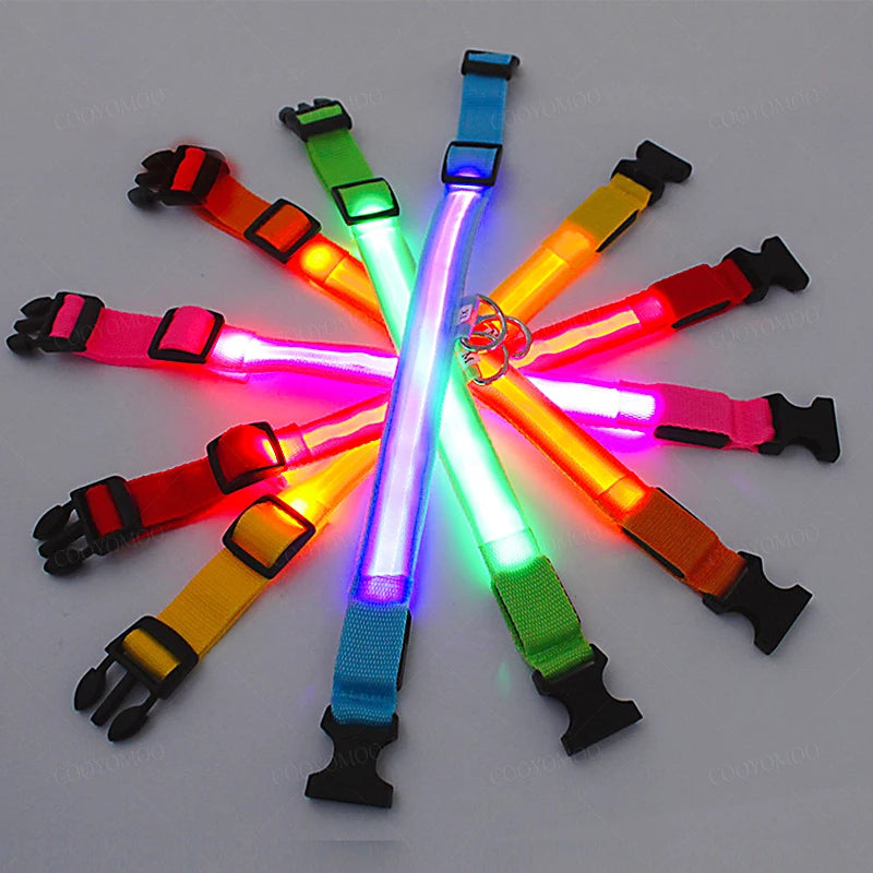 3 Modes Dog Luminous Charge Collar Loss Prevention Collar/Pet Accessories
