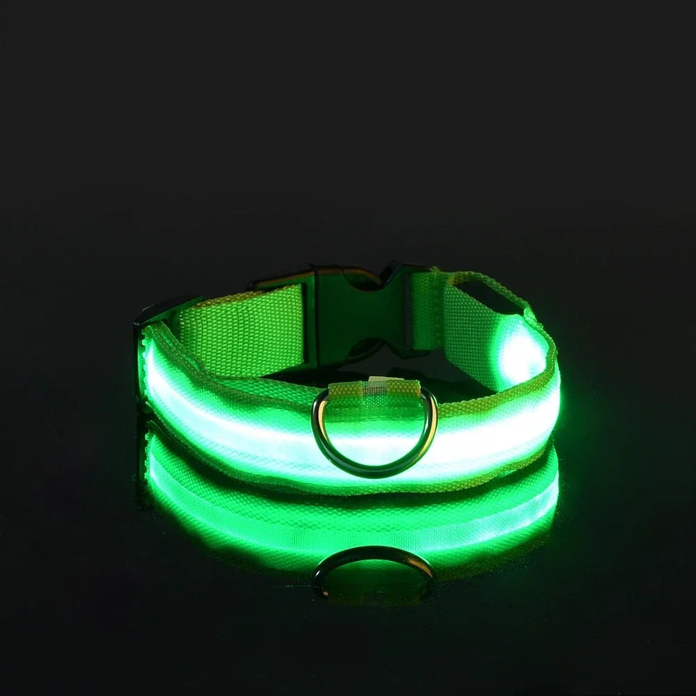 Dog Collar Nylon LED Night   Safety Flashing Glow-In-The-Dark Pet Dog Leash