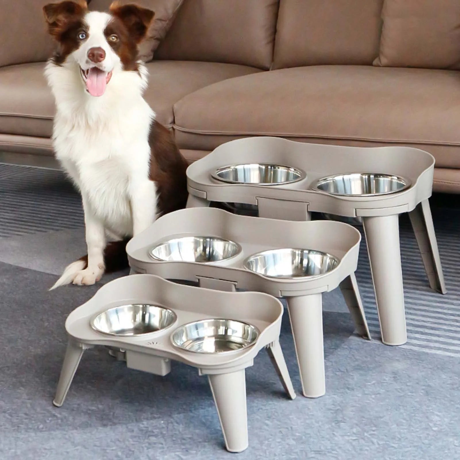 Raised Stand Elevated Dog Feeder Non-Slip and No Spill Design Suitable for Improved Posture and Comfort