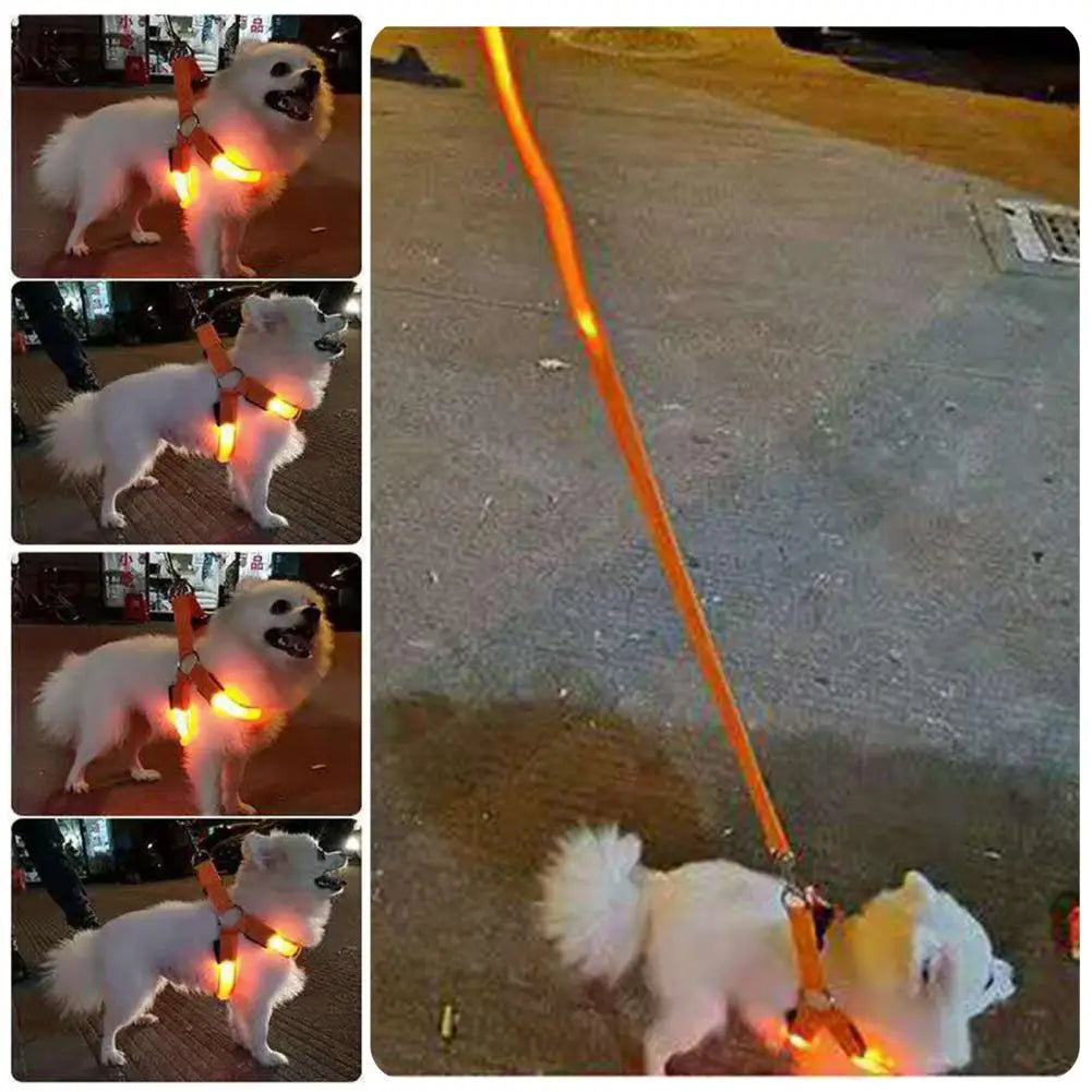 Adjustable LED Pet Harness, USB Rechargeable Light Up Dog Harness, Glow-in-The-Dark Safety Vest