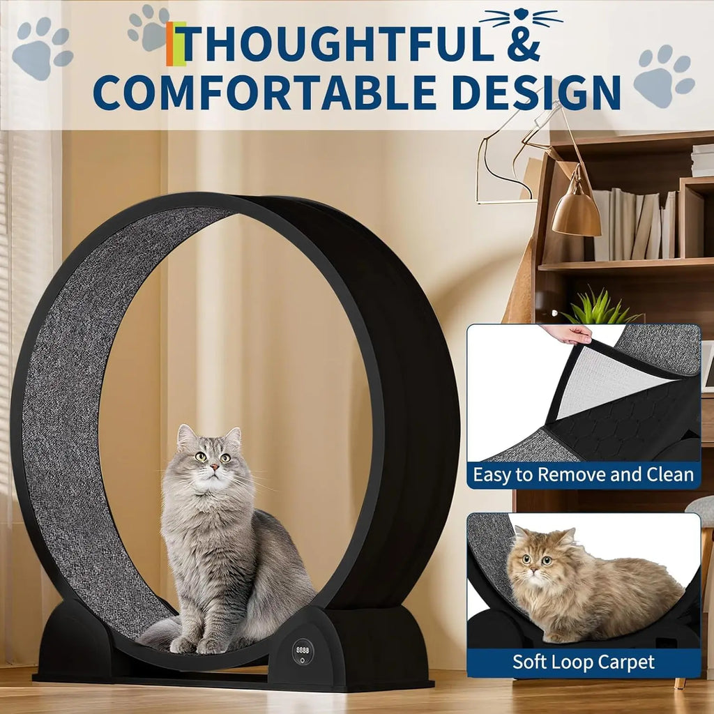 Cat Exercise Wheel for Indoor Cats, Quiet Cats Treadmill with Pedometer