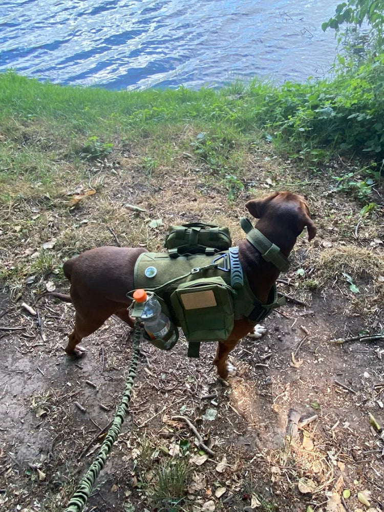 Tactical Dog Harness Collar With Pouches For Medium Large Dogs