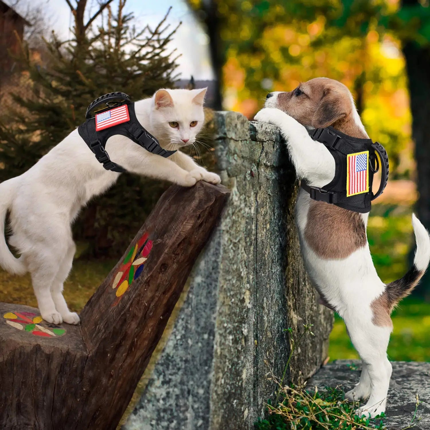 Tactical Puppy Harness Leash Set For Small Dogs Adjustable Cat Harnesses