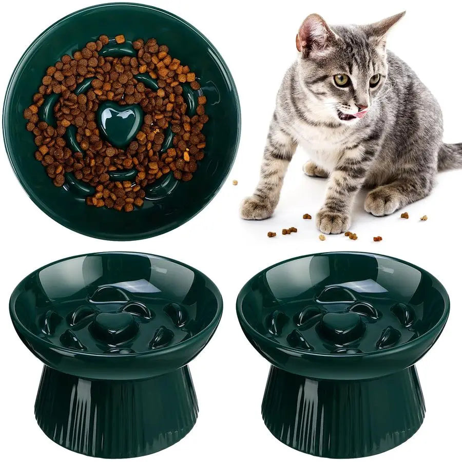 2 Pcs Raised Cat Slow Feeder Bowl Ceramic No Spill High Edge for Dry Wet Food and Water Easy to Clean