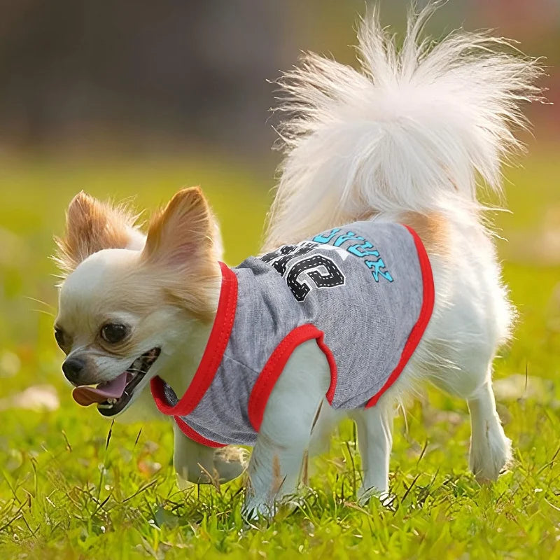 4 Pieces Puppy Clothes for Small Dogs Boy Summer Puppy Clothes for Chihuahua Yorkie Soft Cute Pattern Dog Shirt Spring Pet Cat C