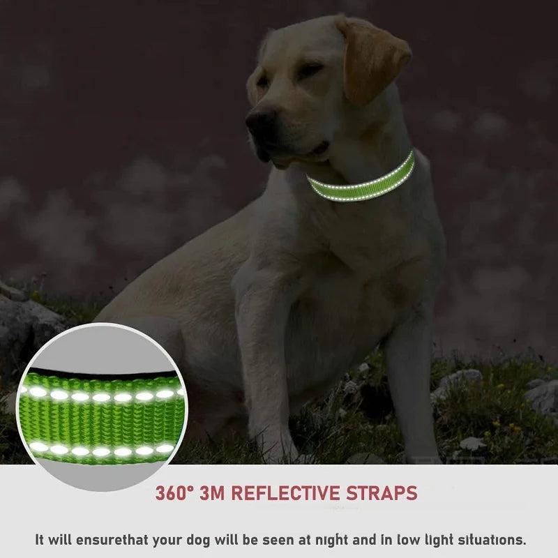 Choker Small Dog Collar, Puppy Neck Collars for Dogs